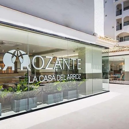 Occidental Puerto Banus Hotel